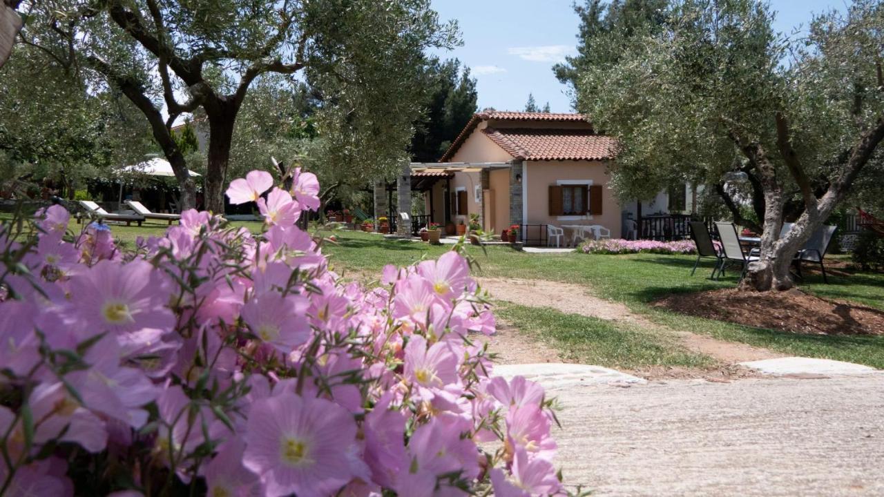 Small Paradise Nikiti  Bagian luar foto